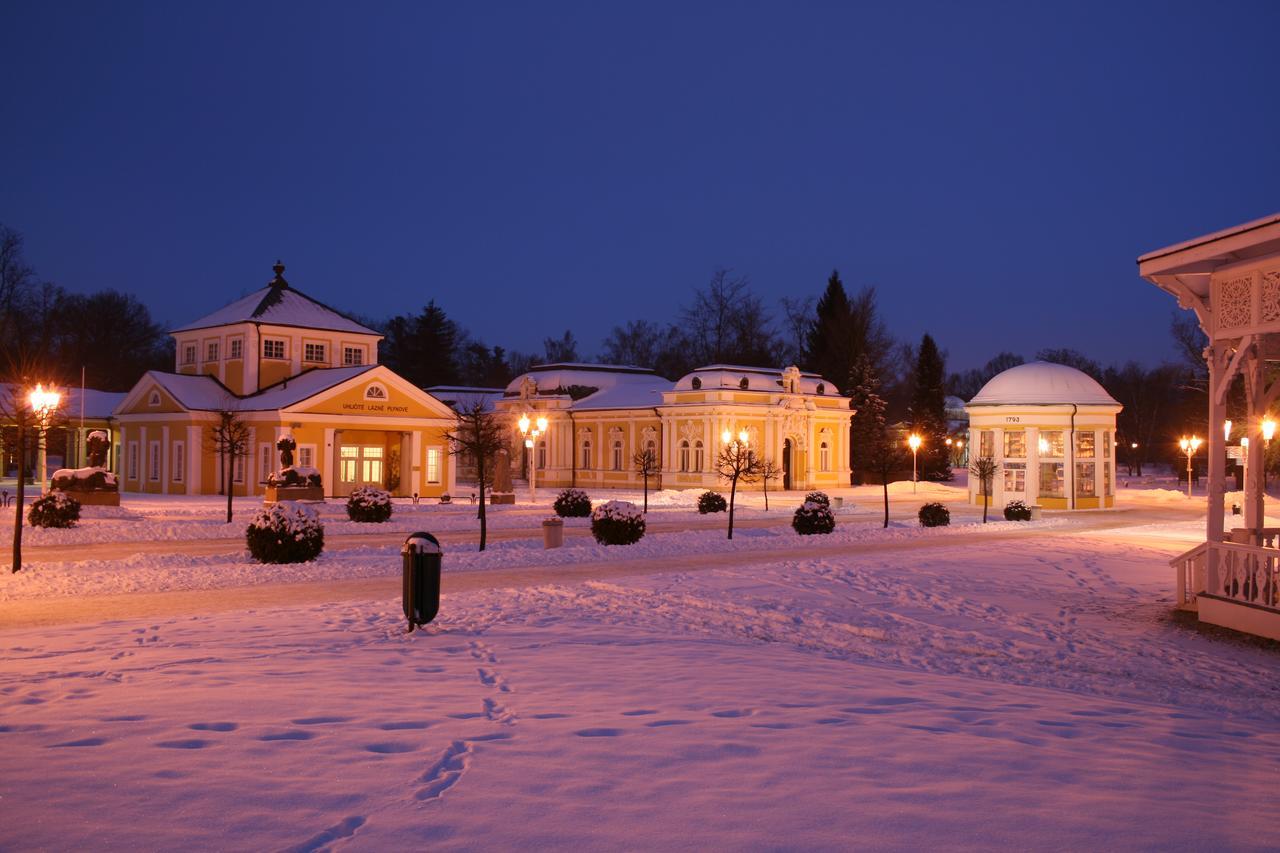 Apartment Pension Stark Františkovy Lázně エクステリア 写真