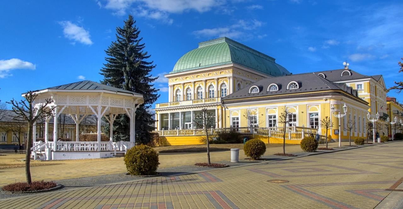 Apartment Pension Stark Františkovy Lázně エクステリア 写真