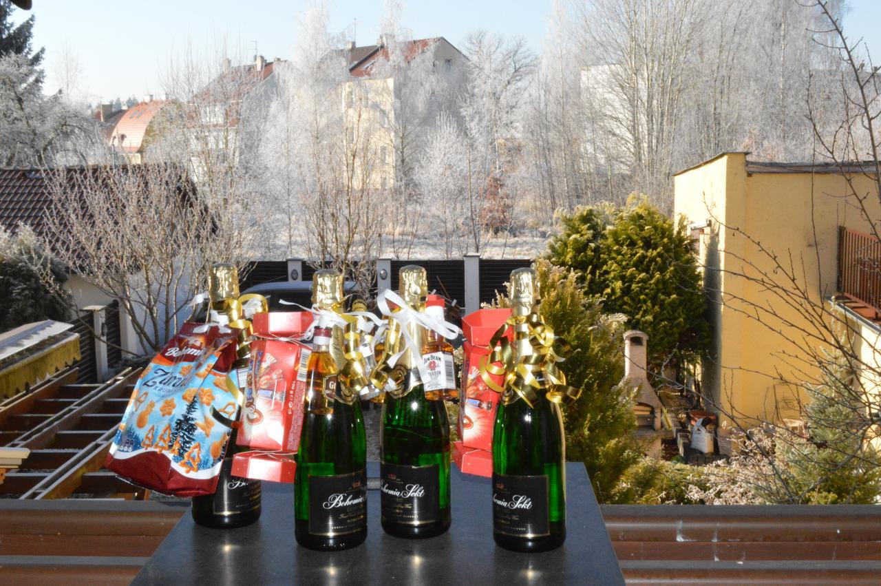 Apartment Pension Stark Františkovy Lázně エクステリア 写真