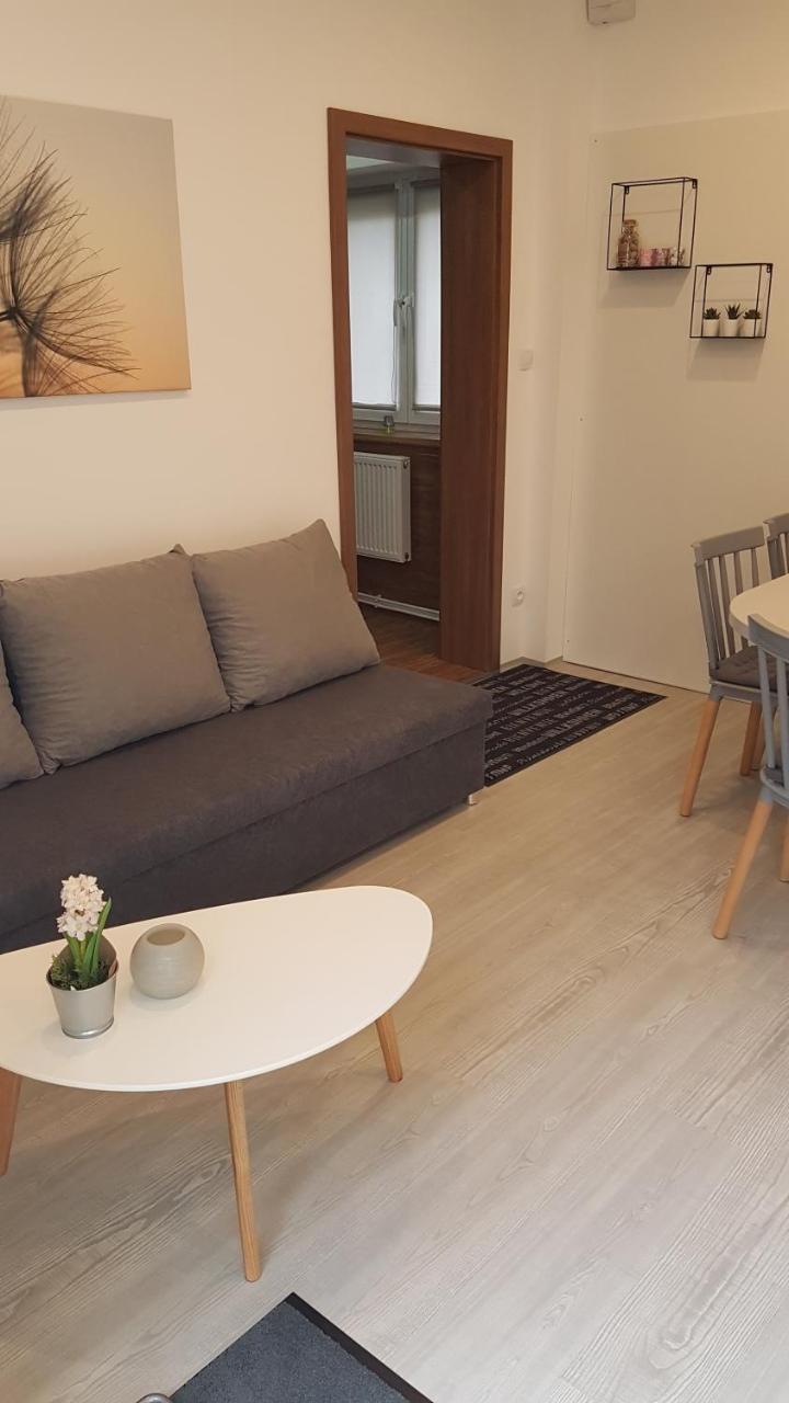 Apartment Pension Stark Františkovy Lázně エクステリア 写真